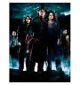 Impression Sur Verre Harry Potter Groupe HP4