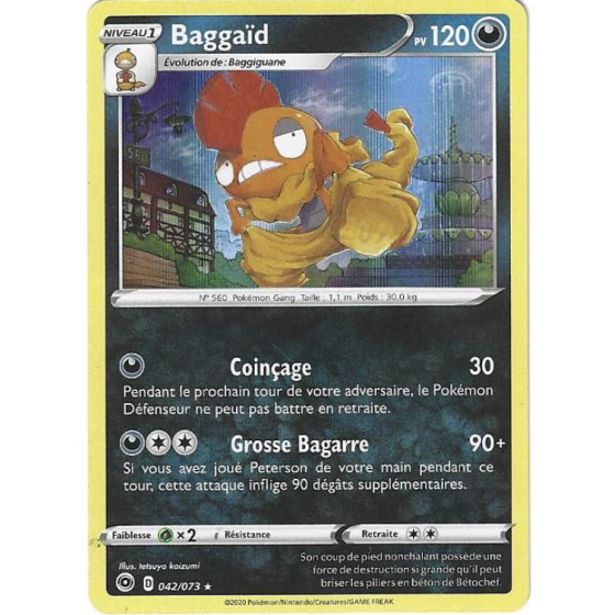 Baggaid 042/073 Holo